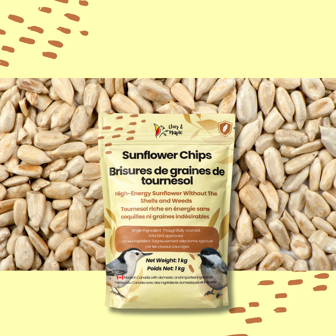 Sunflower Chips