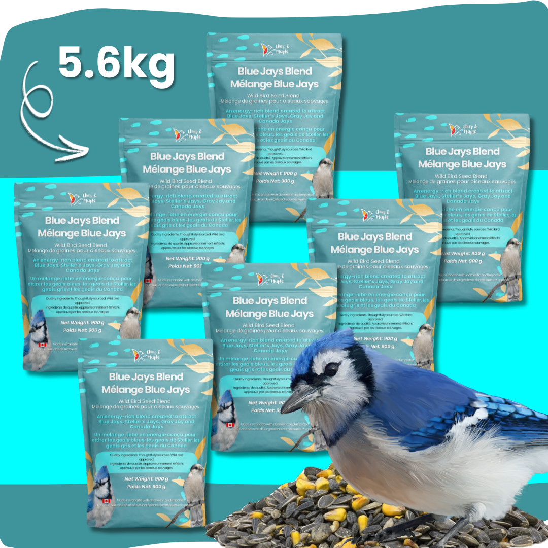 Blue Jays Blend