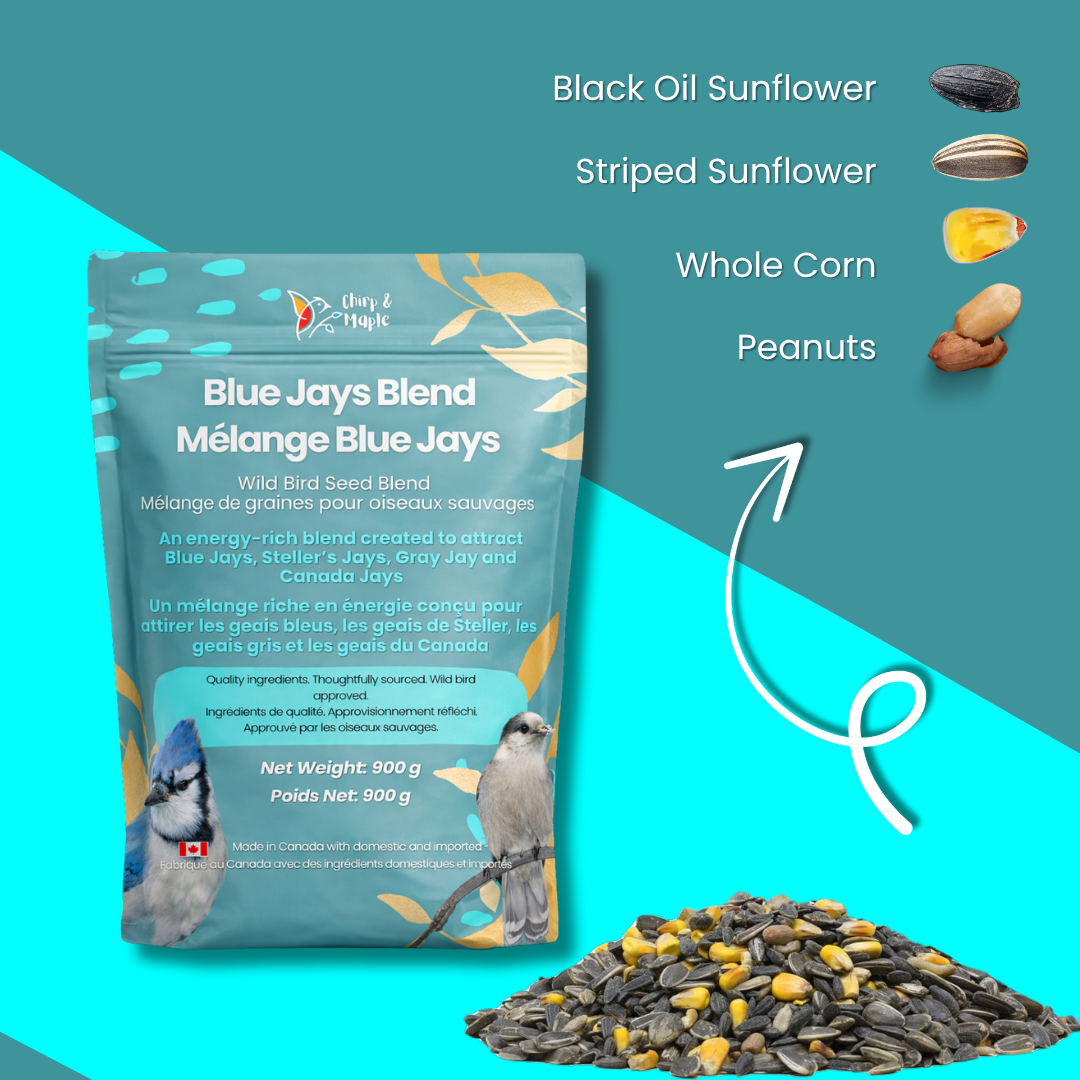 Blue Jays Blend