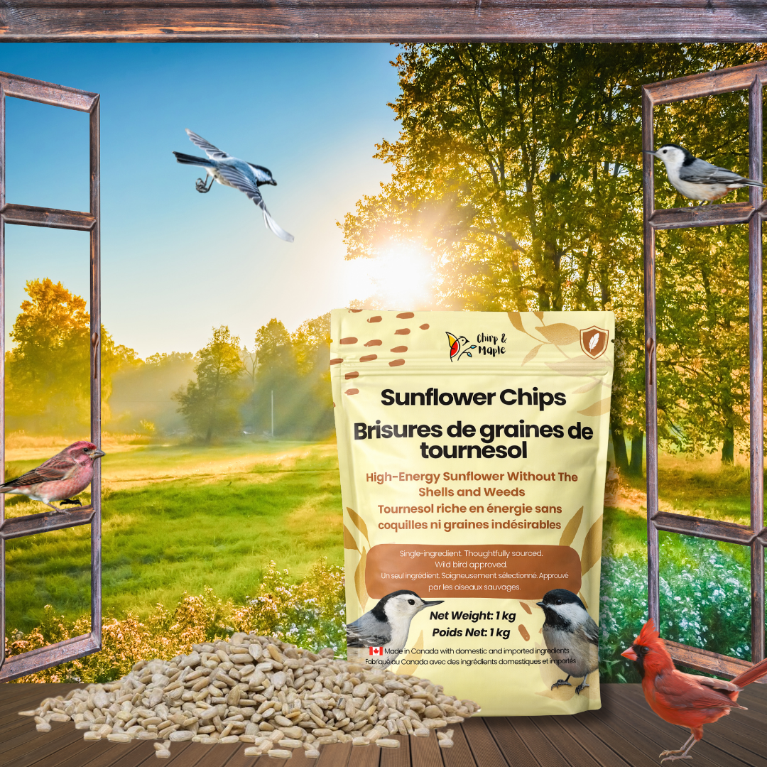 Sunflower Chips