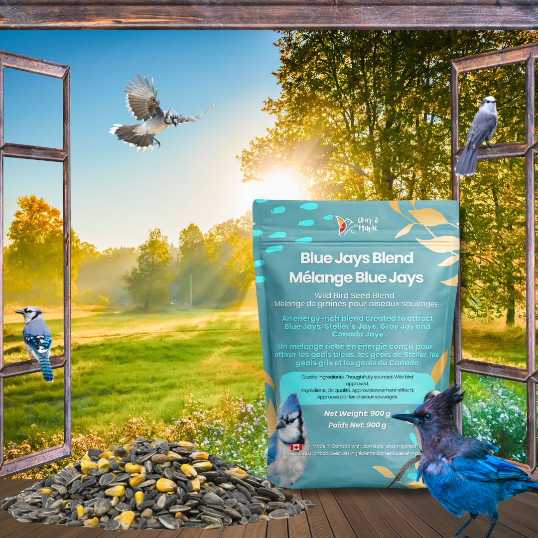 Blue Jays Blend