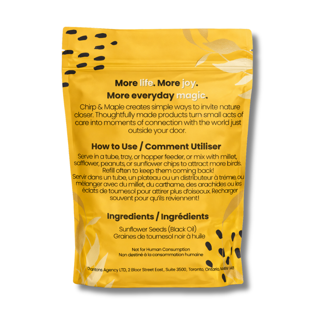 Black Oil Sunflower
