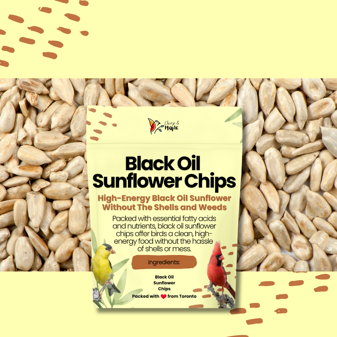 Sunflower Chips