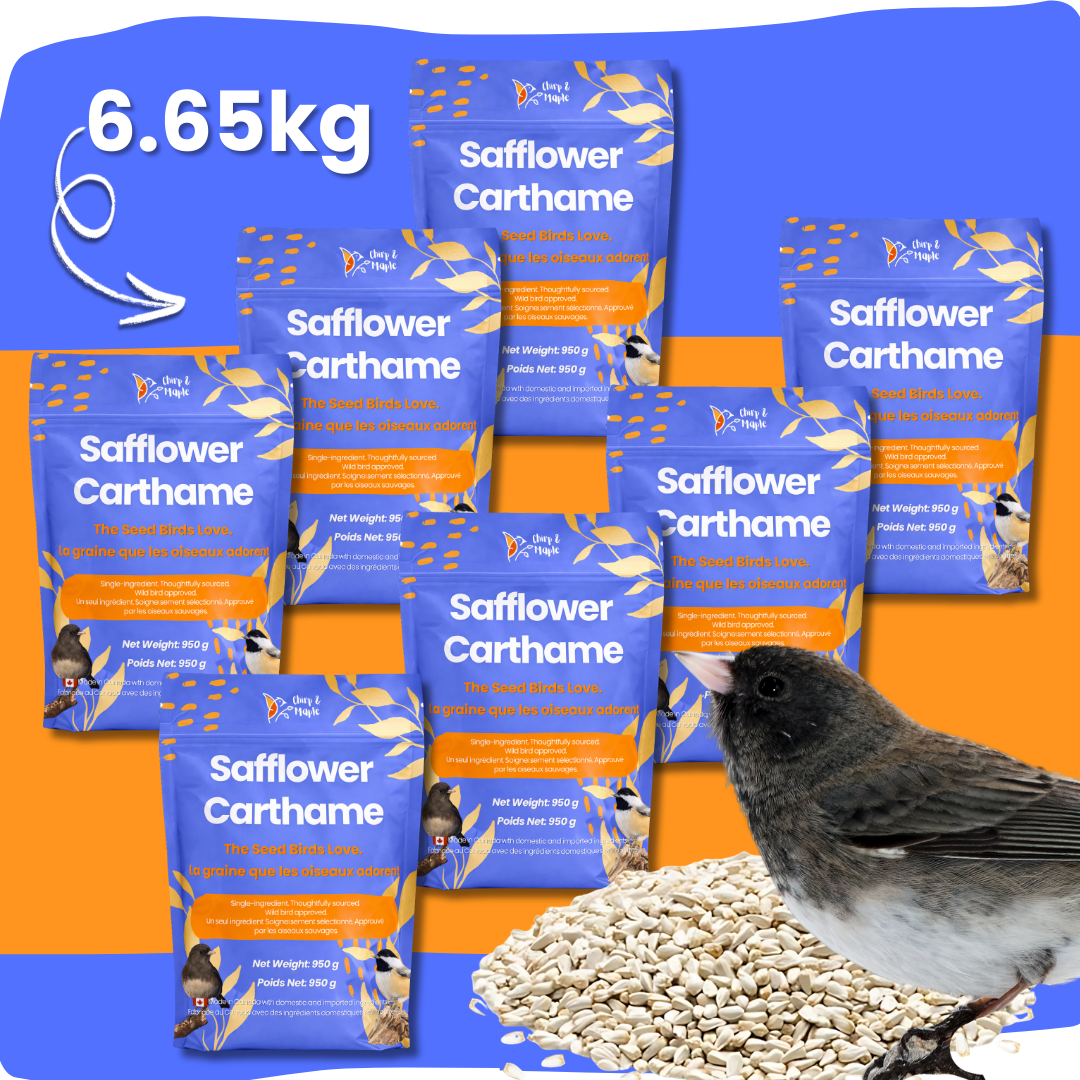 Safflower