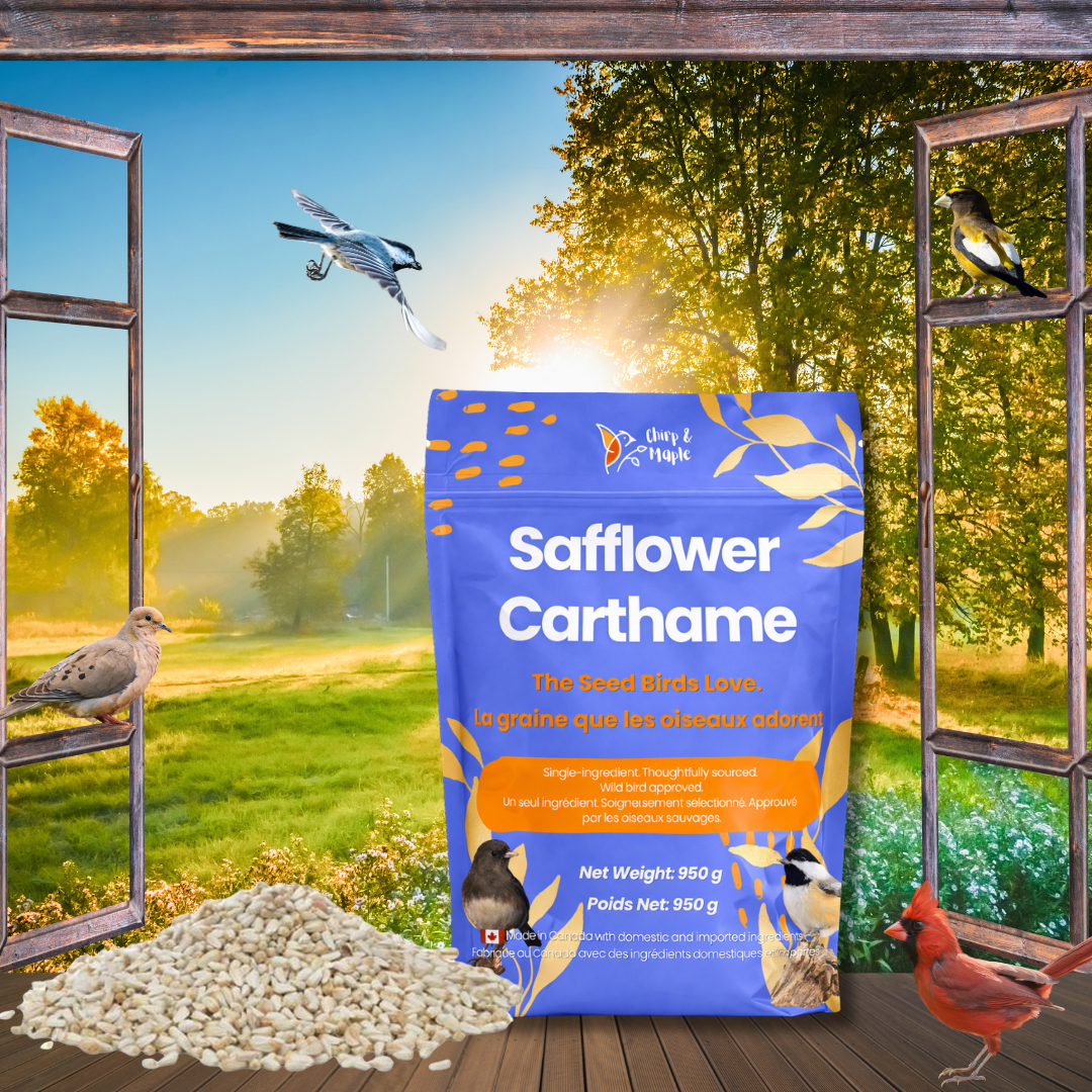 Safflower