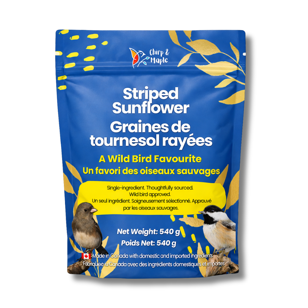 Striped Sunflower