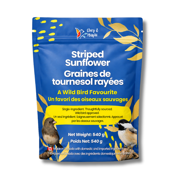 Striped Sunflower