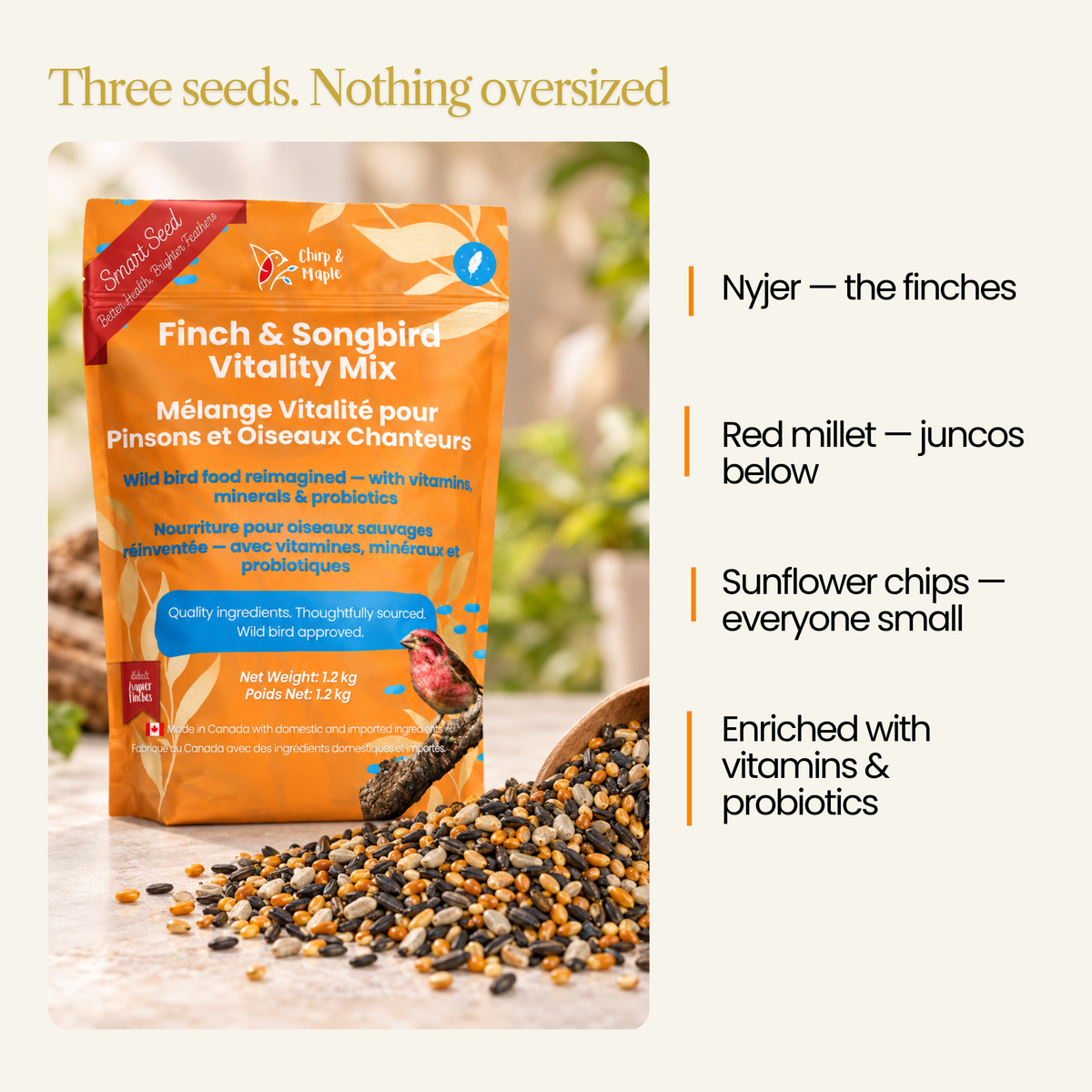 Finch & Songbird Vitality Seed Mix – Enriched Blend for Small Backyard Birds