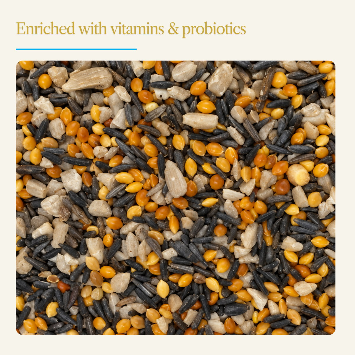 Finch & Songbird Vitality Seed Mix – Enriched Blend for Small Backyard Birds