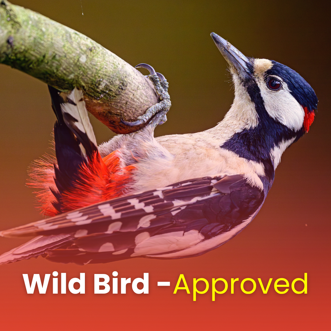 Peanut Perfection Suet