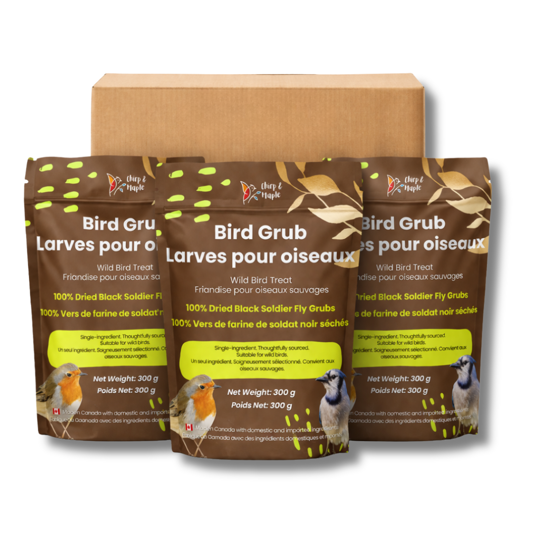 Bird Grub