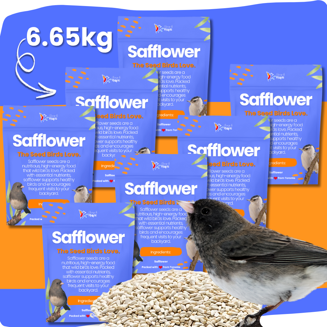 Safflower