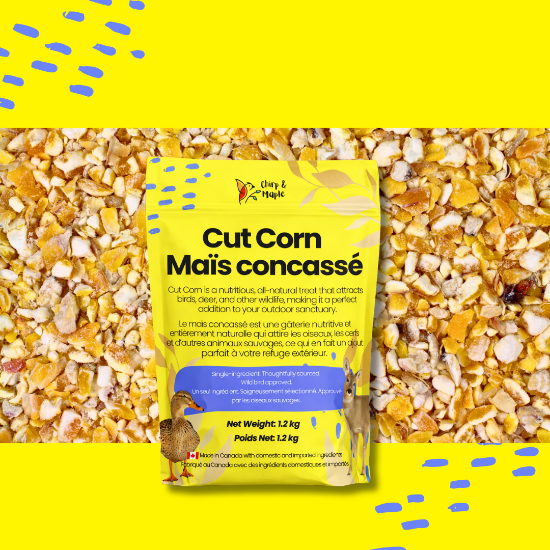 Cut Corn