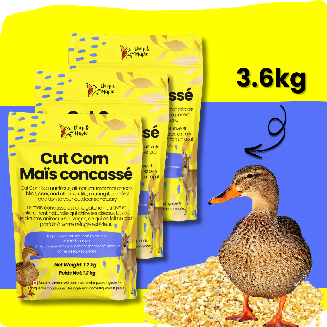 Cut Corn