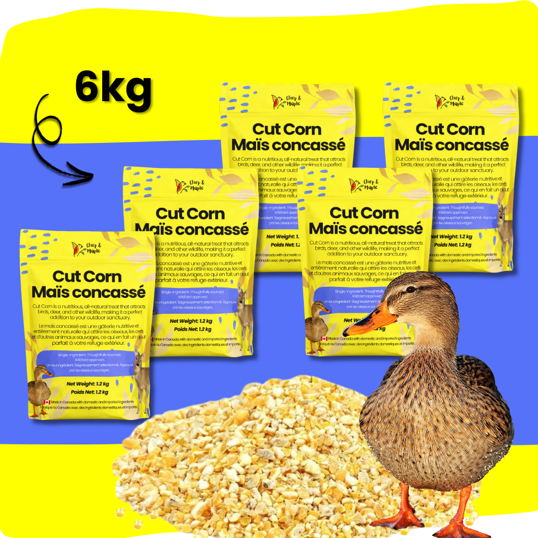 Cut Corn