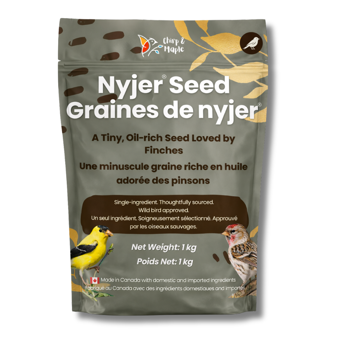 Nyjer Seed