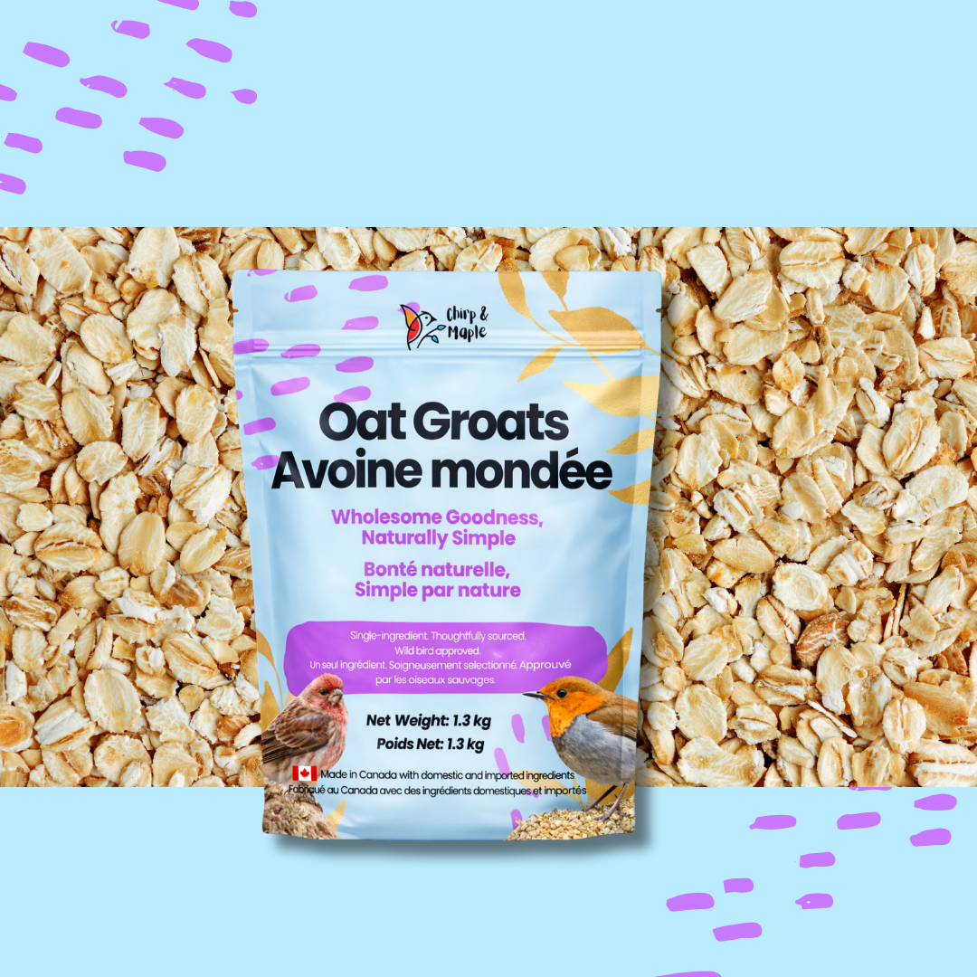 Oat Groats
