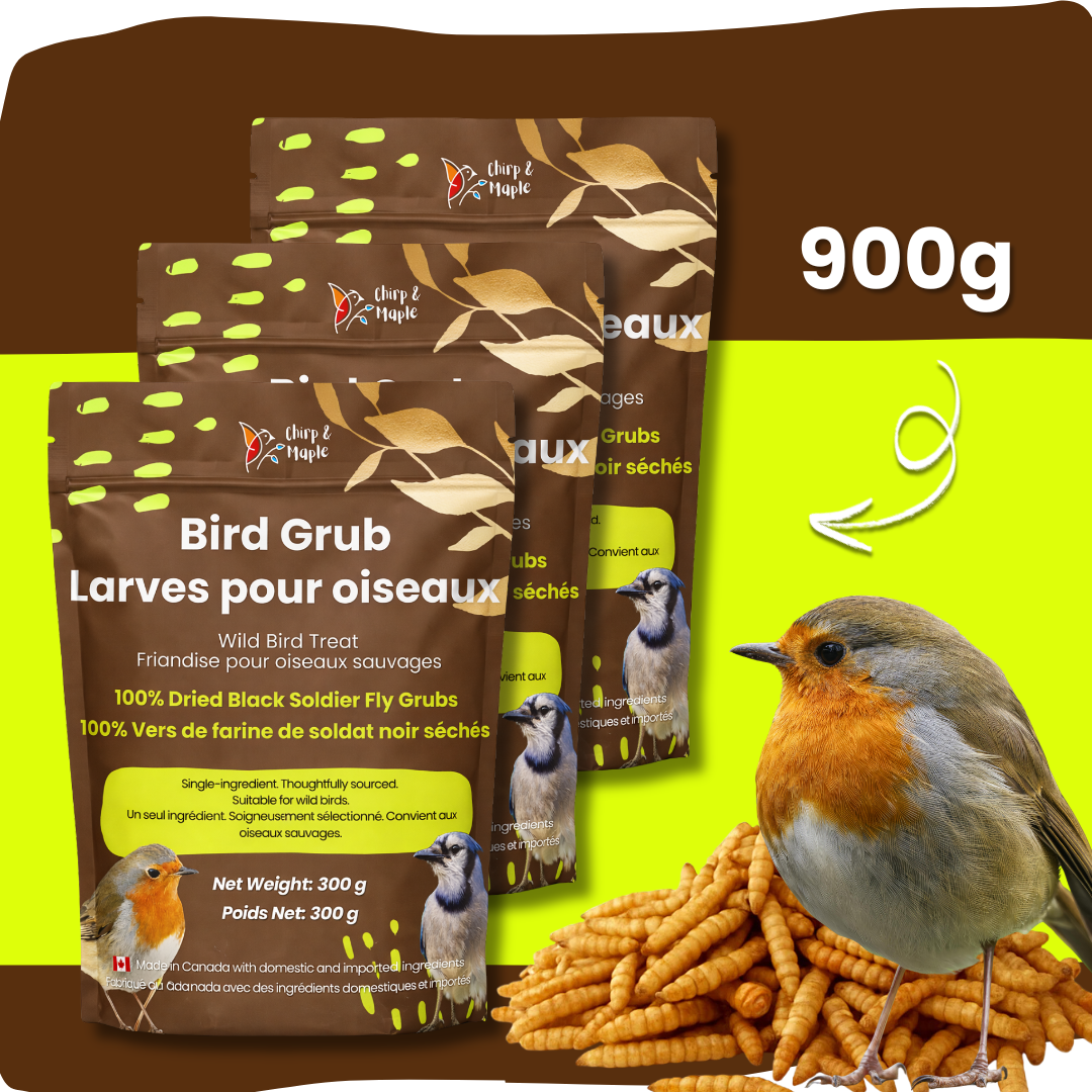 Bird Grub