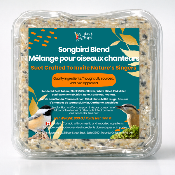 Songbird Blend Suet Pack