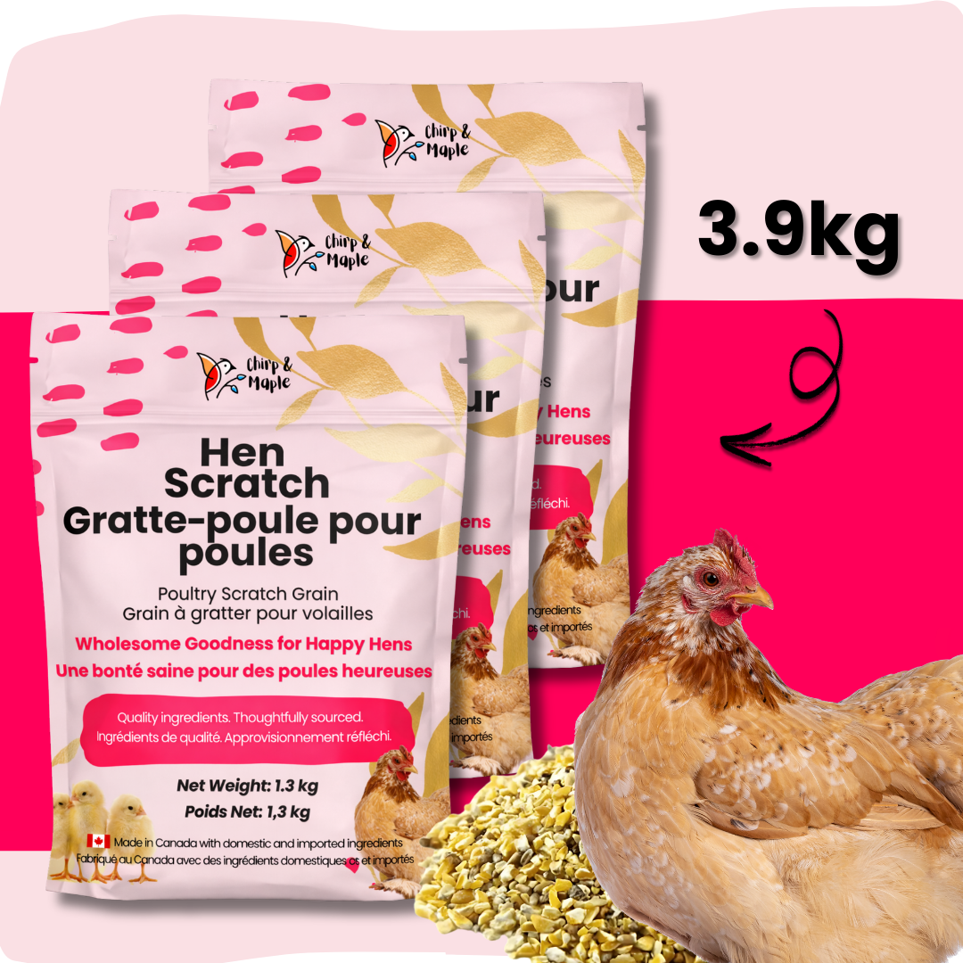 Hen Scratch