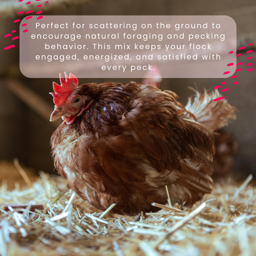 Hen Scratch