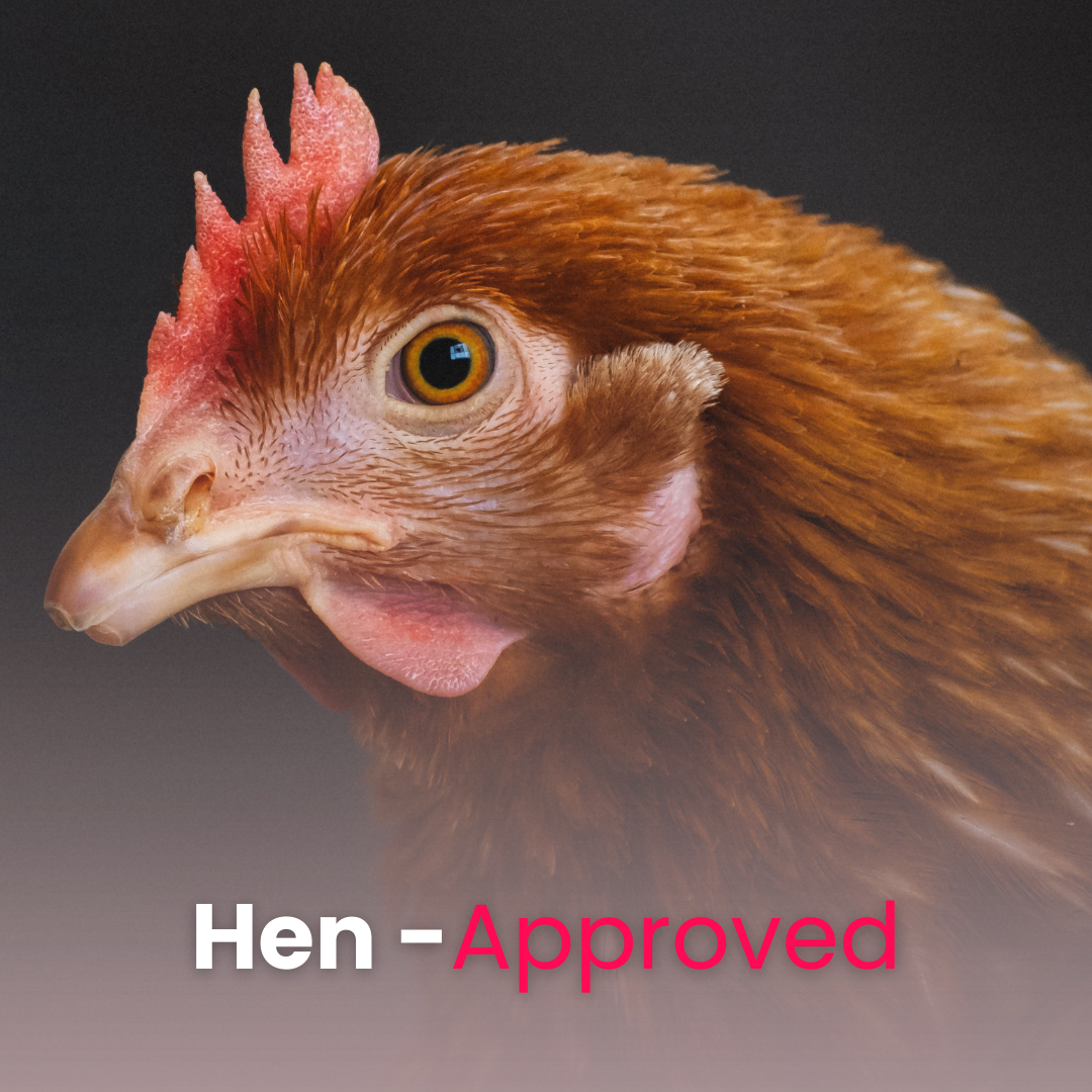 Hen Scratch