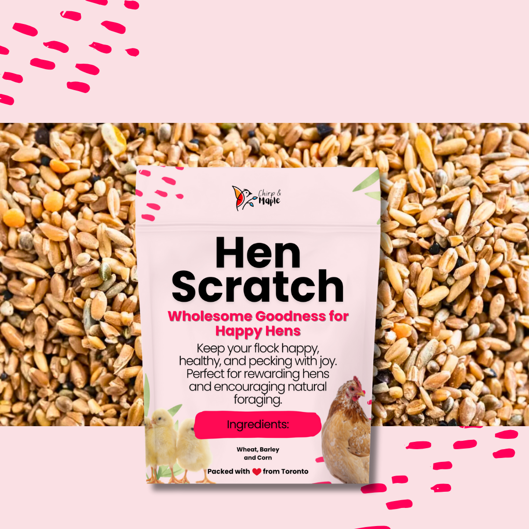 Hen Scratch