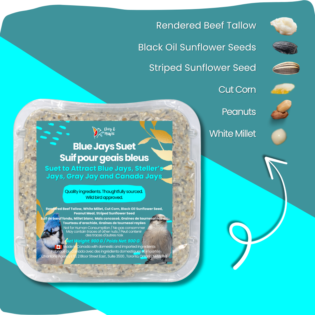 Blue Jays Suet Pack