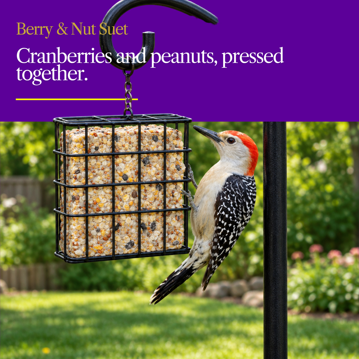 Berry & Nut Suet Cake – Cranberry, Peanuts & Mixed Seeds