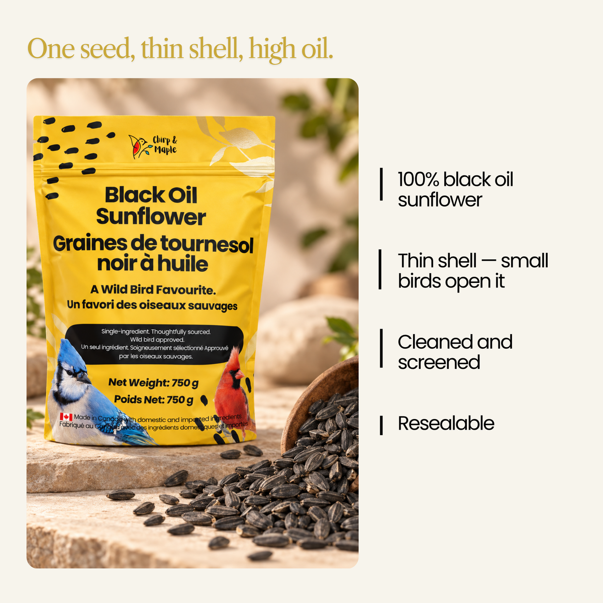 Black Oil Sunflower Seeds for Wild Birds – High Oil, Non-GMO