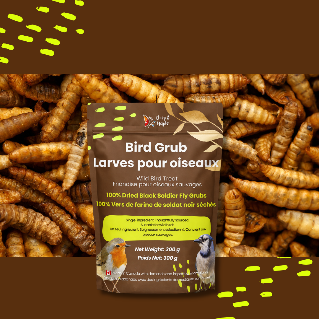 Bird Grub