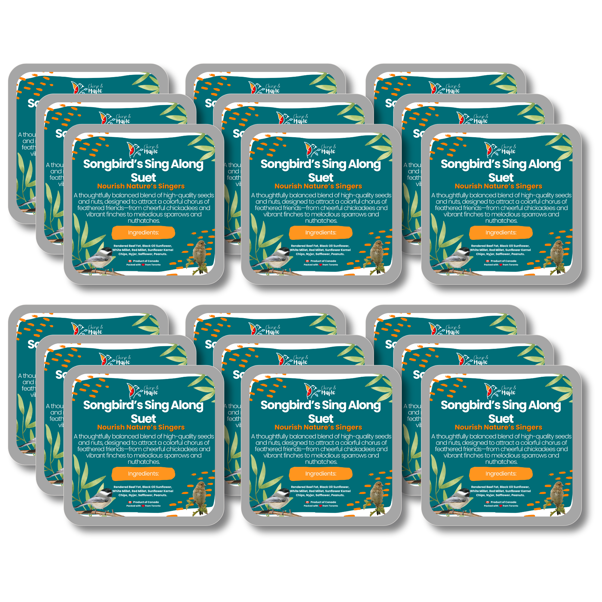 Songbird’s Sing Along Suet