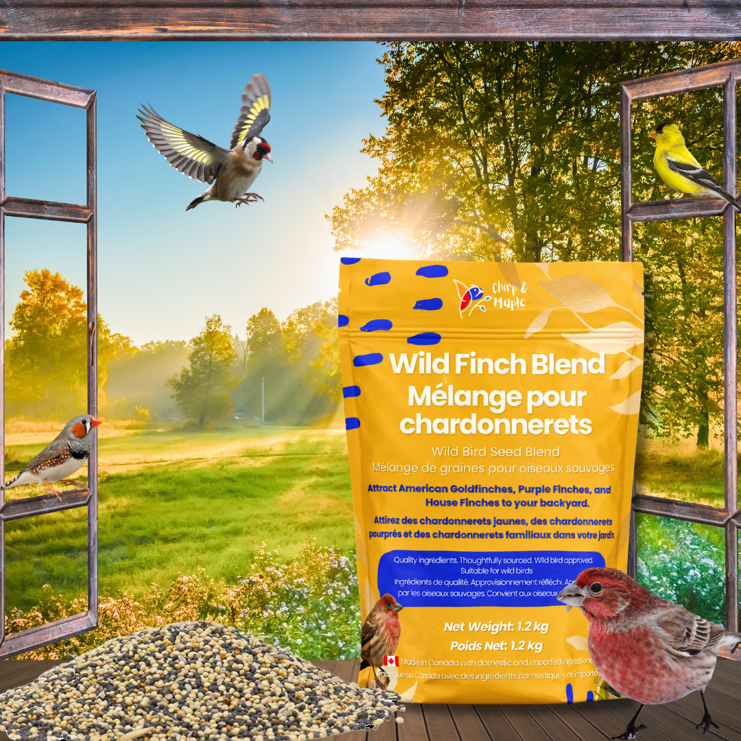Wild Finch Blend