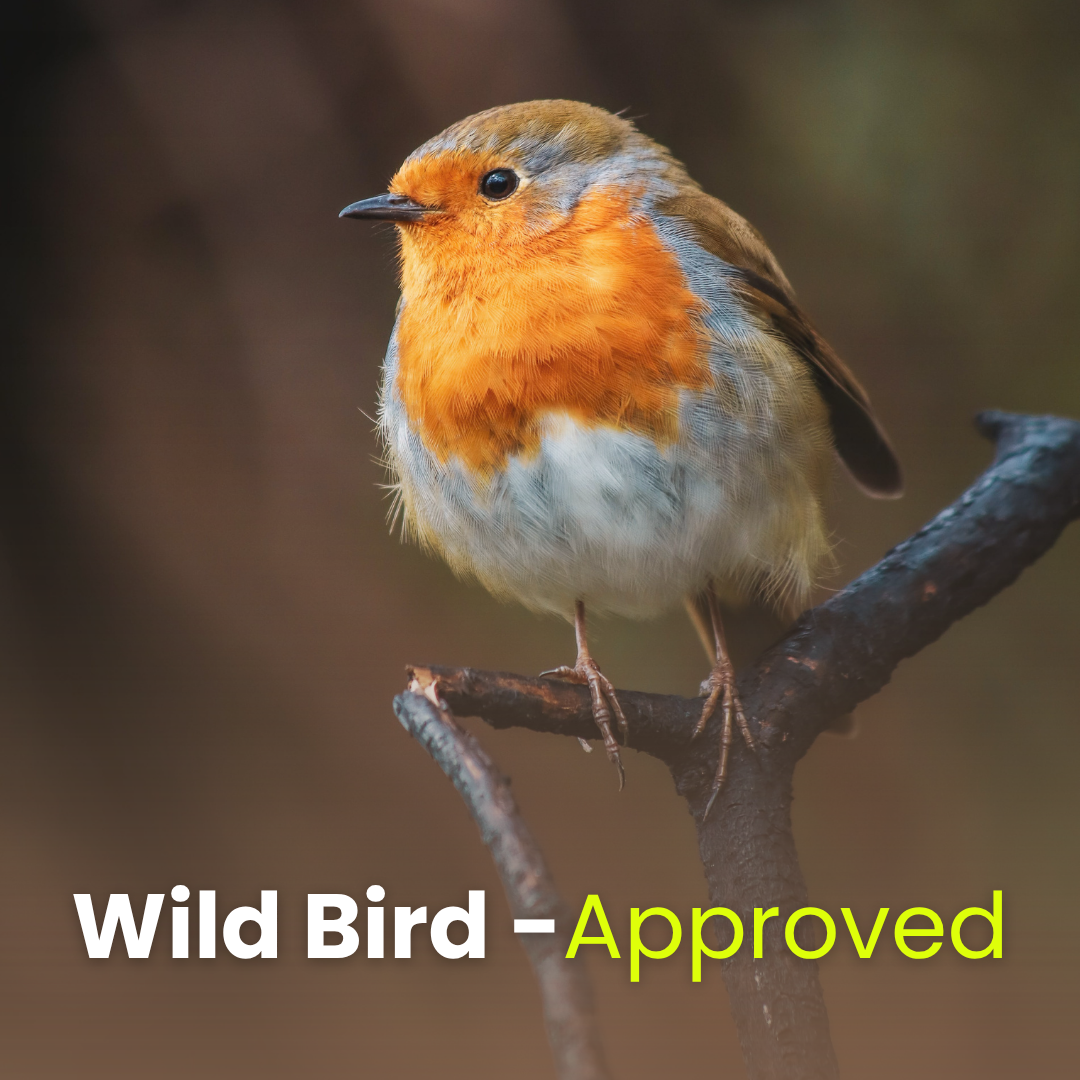 Bird Grub Pack