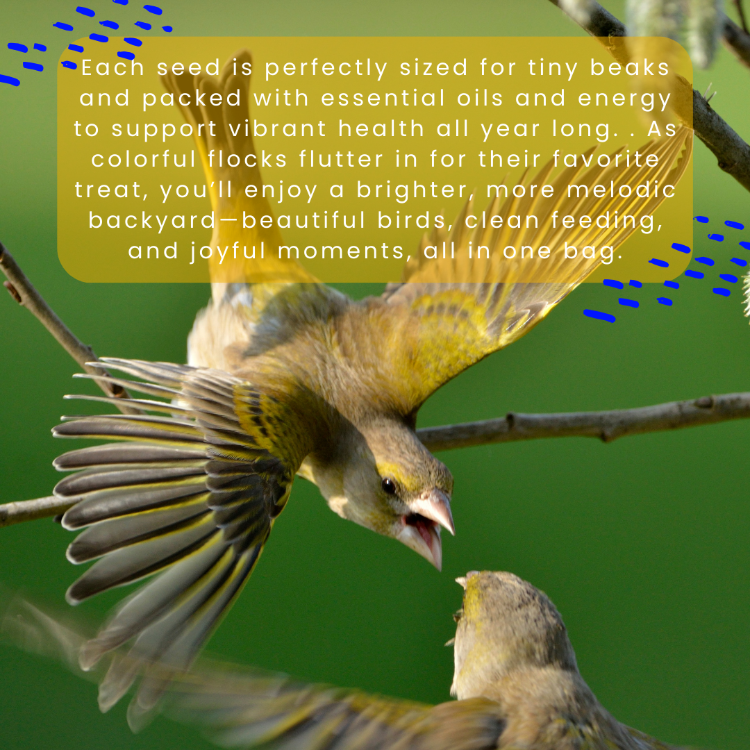 Wild Finch Blend