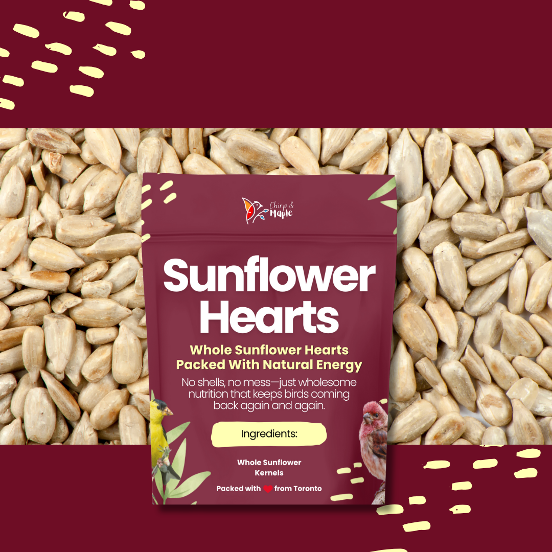 Sunflower Hearts