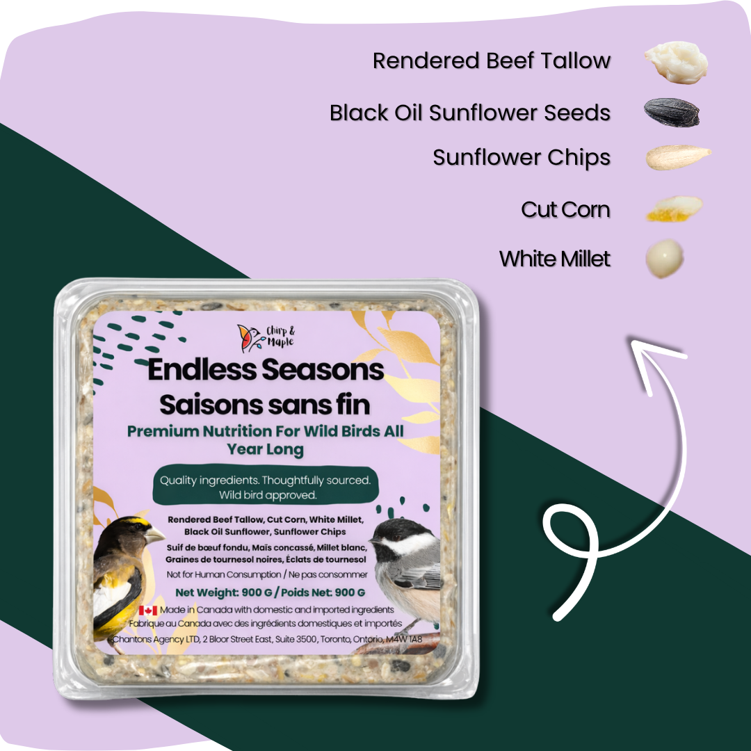 Endless Seasons Suet Pack
