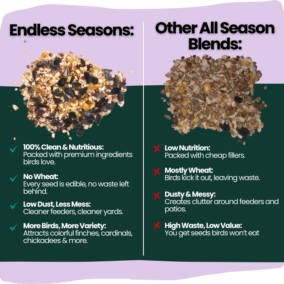 Endless Seasons