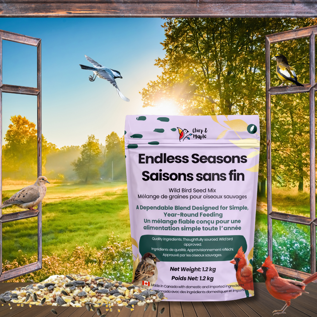 Endless Seasons