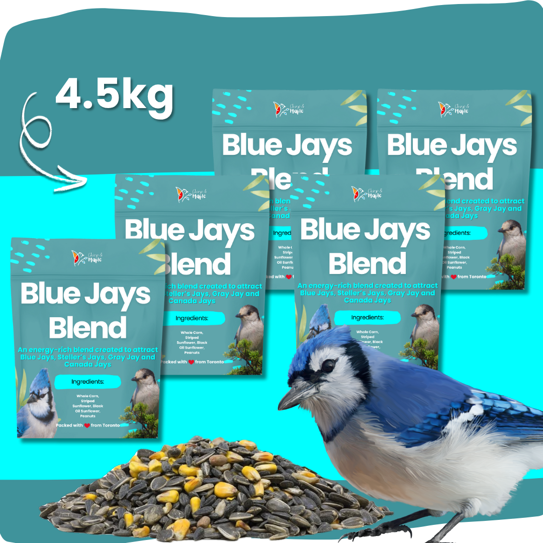 Blue Jays Blend