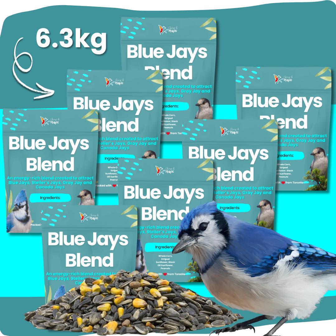 Blue Jays Blend