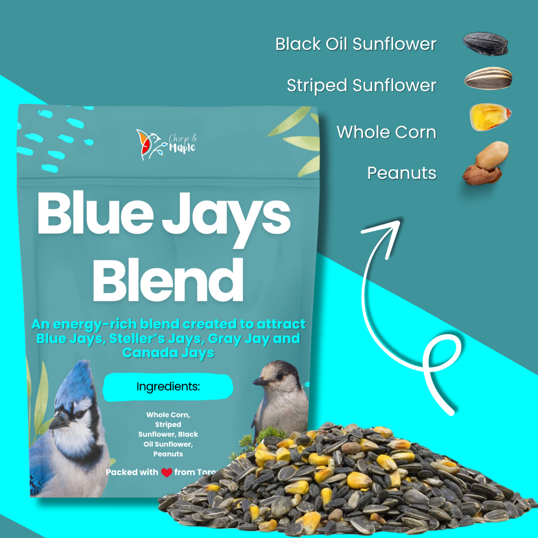 Blue Jays Blend