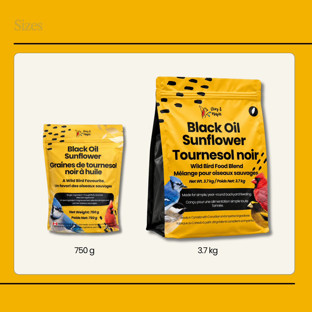 Black Oil Sunflower Seeds for Wild Birds – High Oil, Non-GMO