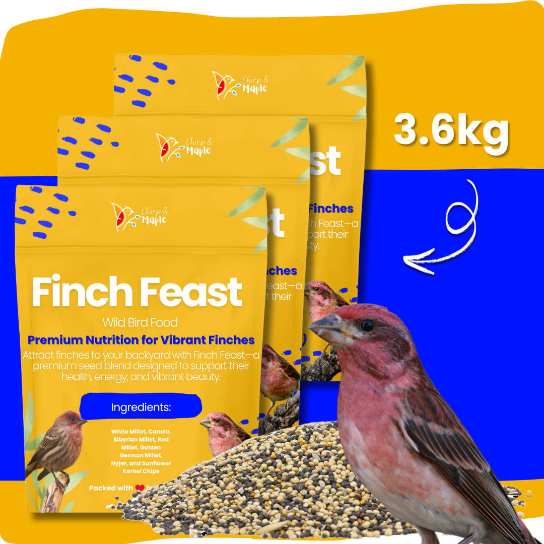 Finch Feast
