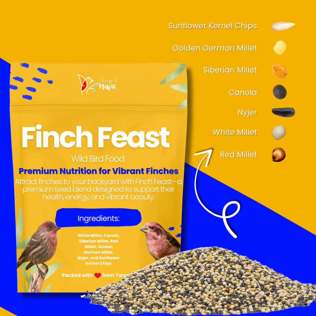 Finch Feast