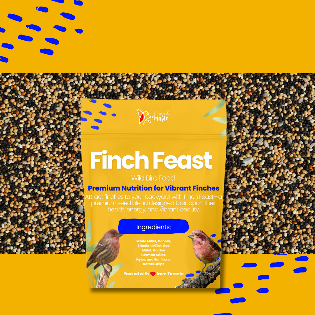 Finch Feast