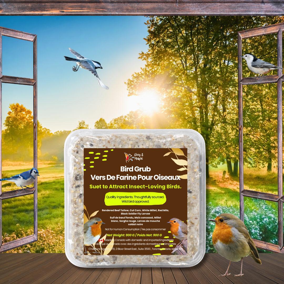 Bird Grub Pack