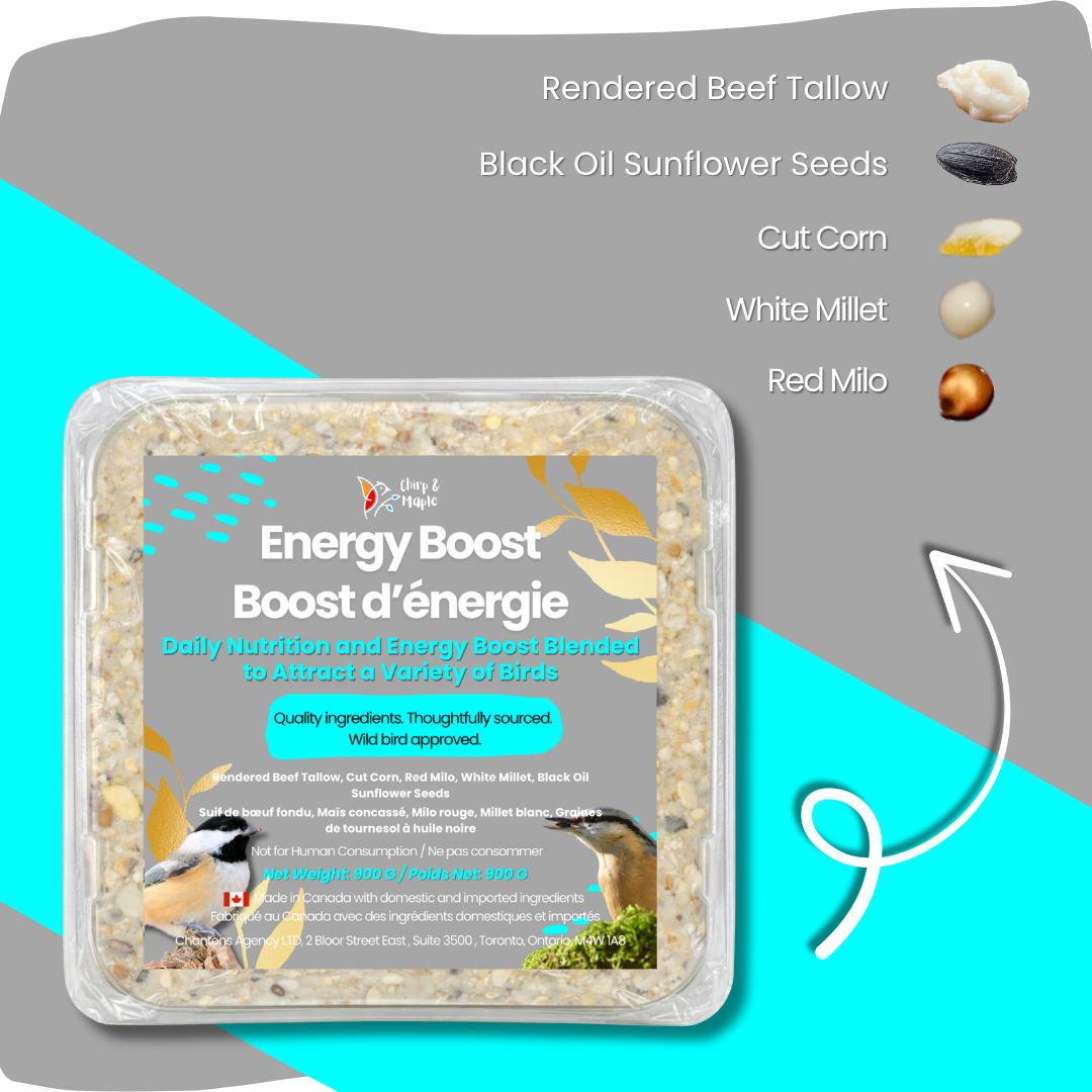 Energy Boost Suet Pack