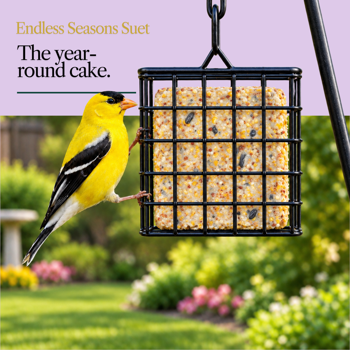 Endless Seasons Suet Cake – All-Season Wild Bird Suet with Sunflower & Millet