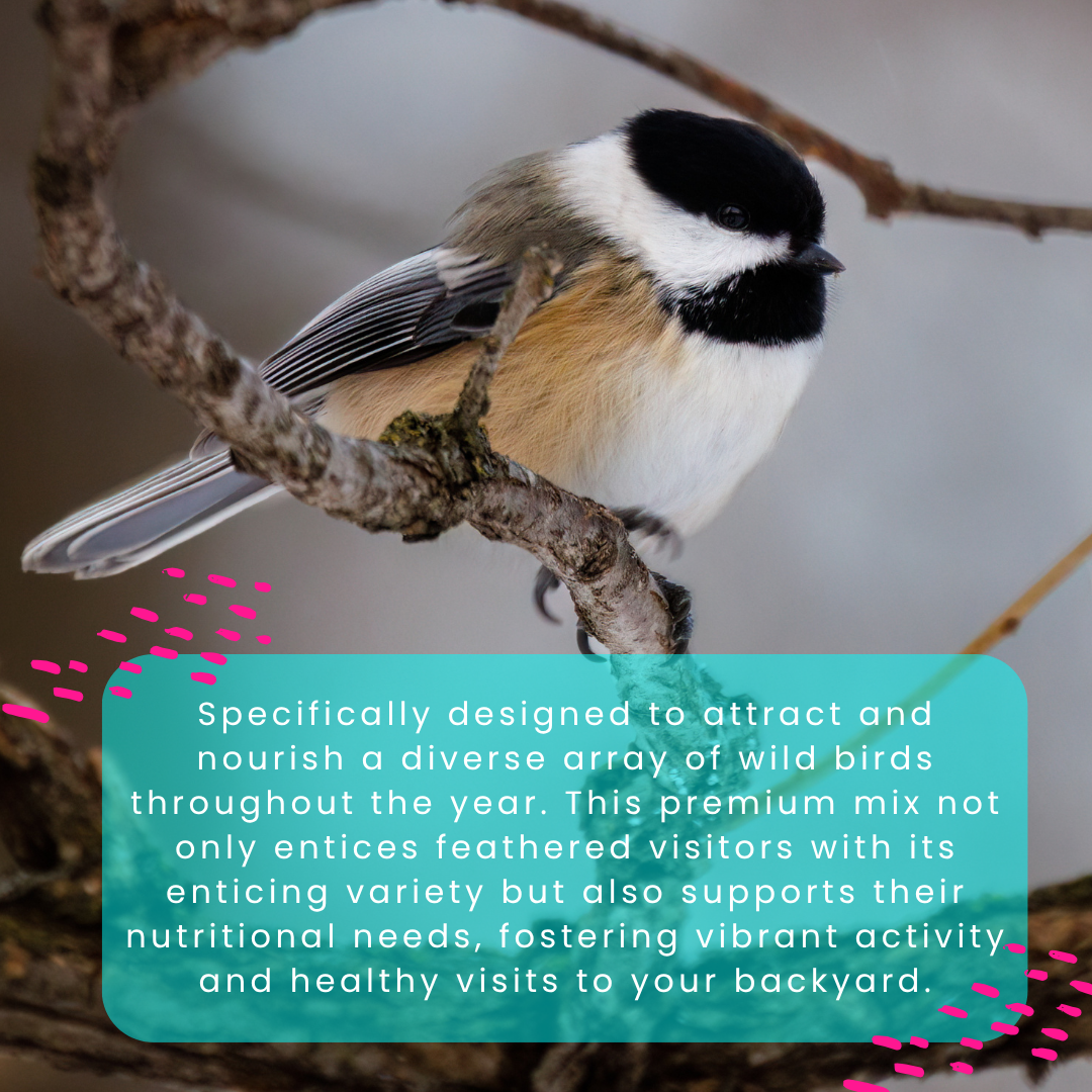 Endless Seasons Suet